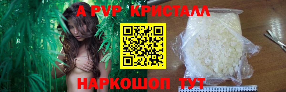 APVP СК Углич